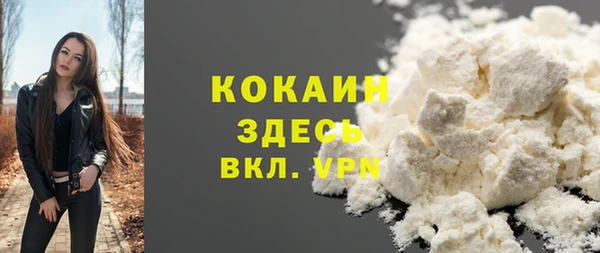 МДПВ Алзамай