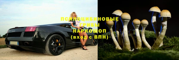 гидропоника Абаза
