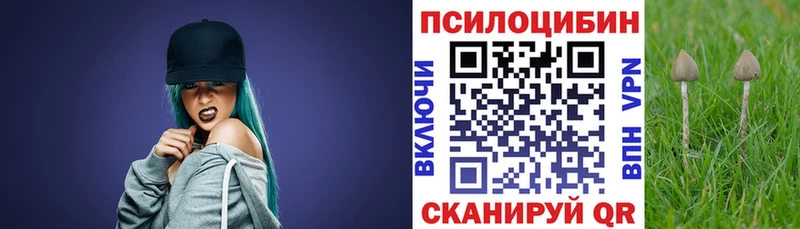 Псилоцибиновые грибы MAGIC MUSHROOMS  Нальчик 