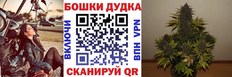 Конопля планчик Нальчик
